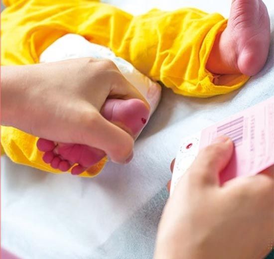 新生兒采血卡廠家解讀：新生兒篩查